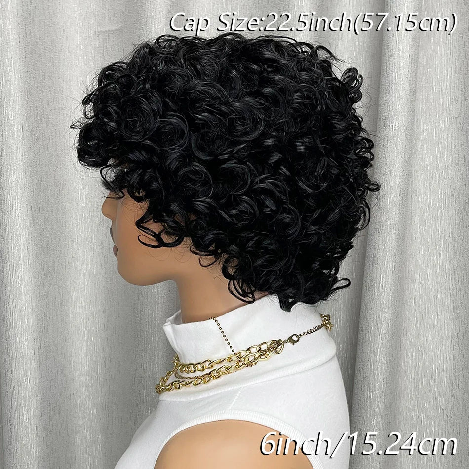 Kinky Curly Human Hair Wig
