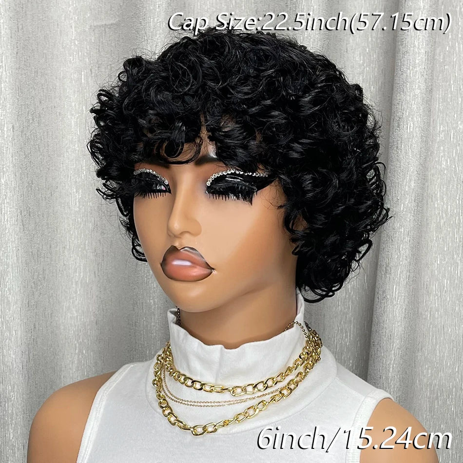 Kinky Curly Human Hair Wig