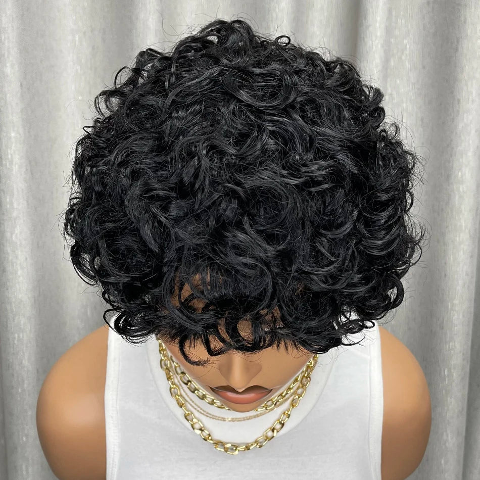 Kinky Curly Human Hair Wig